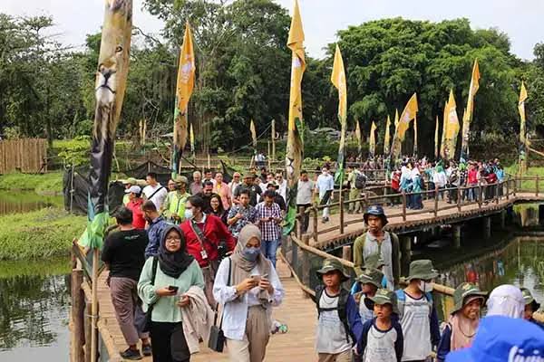Solo Safari Harga Tiket Terbaru, Jelajahi Serunya Bertemu 400 Satwa di Solo Safari Zoo